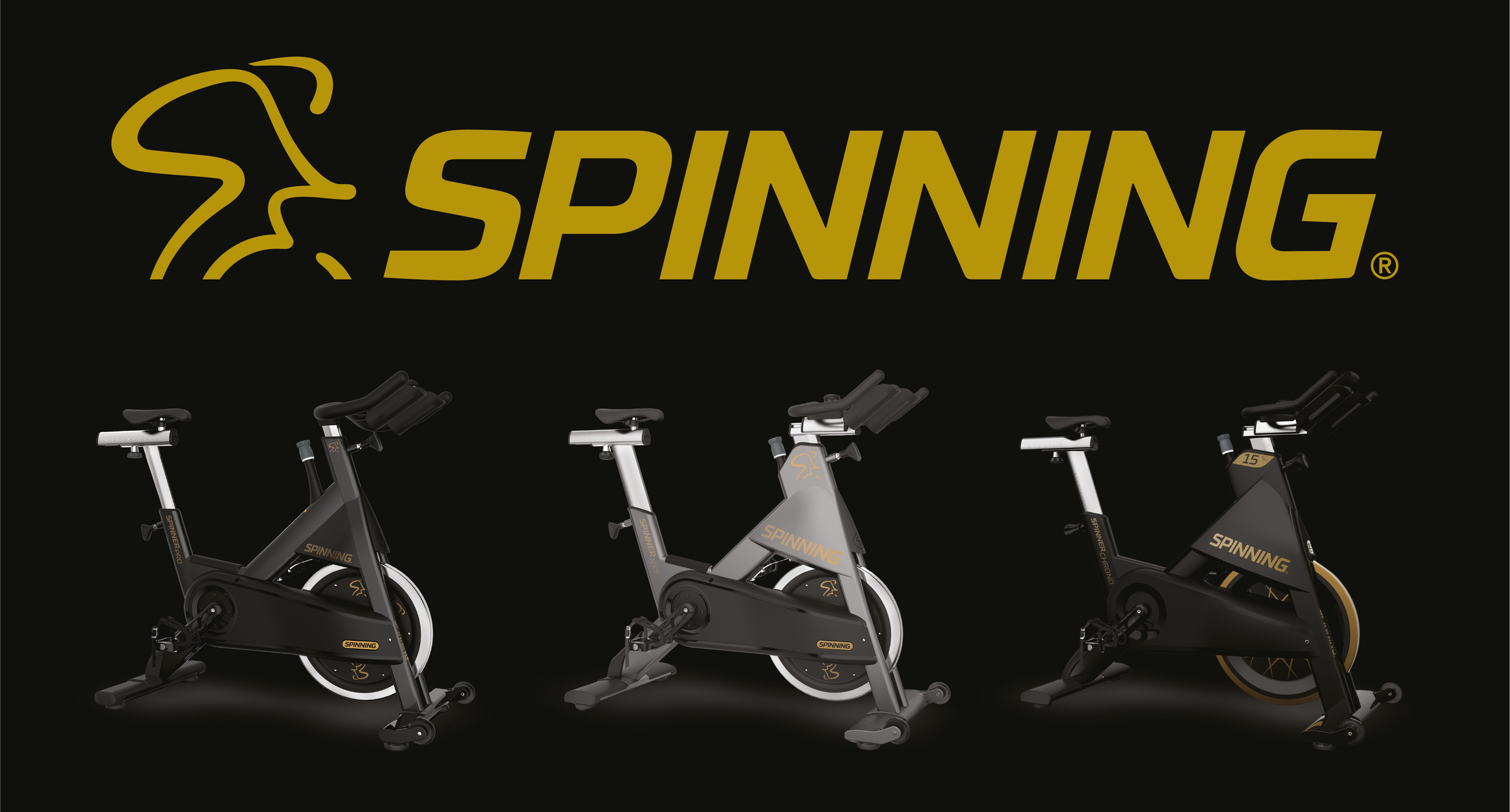 Athleticum Fitness Equipment and Education Athleticum Fitness